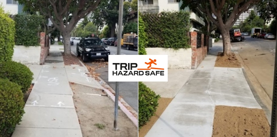 Echo Park Sidewalk Repair Program